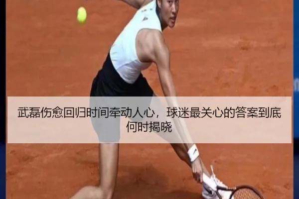 武磊伤愈回归时间牵动人心，球迷最关心的答案到底何时揭晓